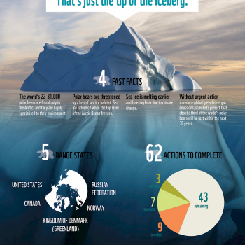/site/assets/files/1109/wwf_-_infographic_-_polar_bear_scorecard.png