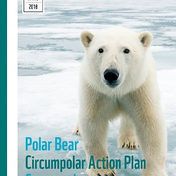 /site/assets/files/1221/pages_from_wwf_-_report_-_polar_bear_scorecard-1.jpg