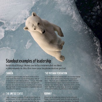 /site/assets/files/1221/pages_from_wwf_-_report_-_polar_bear_scorecard-2.jpg