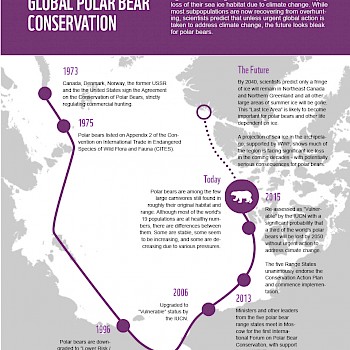 /site/assets/files/1221/pages_from_wwf_-_report_-_polar_bear_scorecard-3.jpg