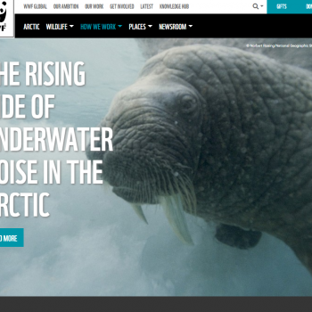 /site/assets/files/1230/arcticwwf.png